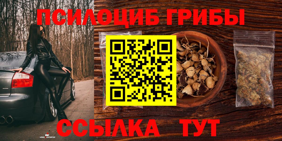 Псилоцибиновые грибы GOLDEN TEACHER Ревда