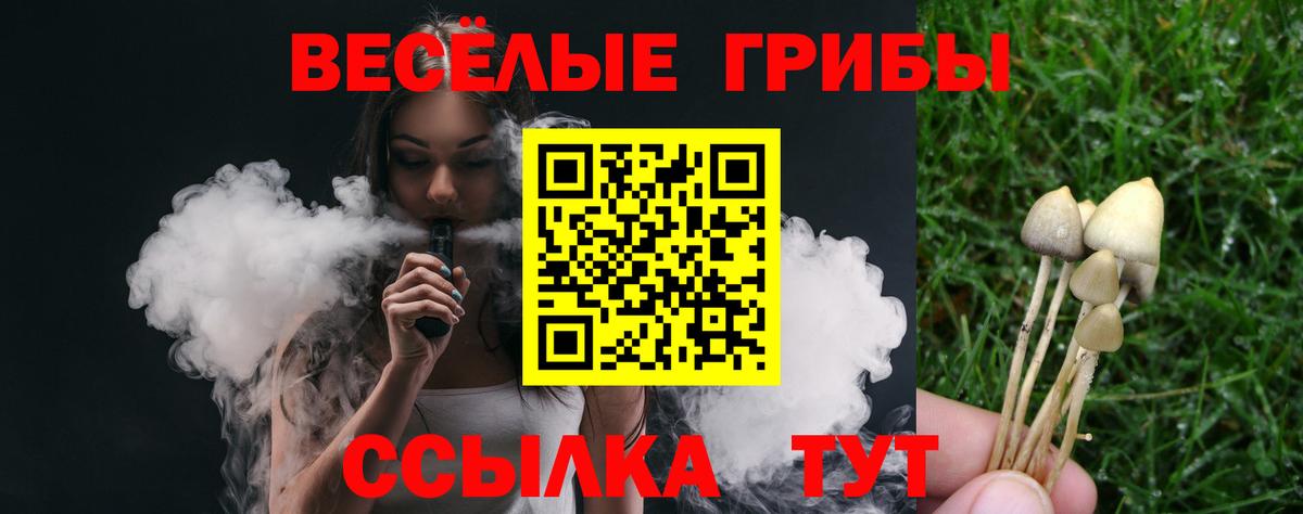 закладка  Вход с VPN  Ревда  Псилоцибиновые грибы мицелий 